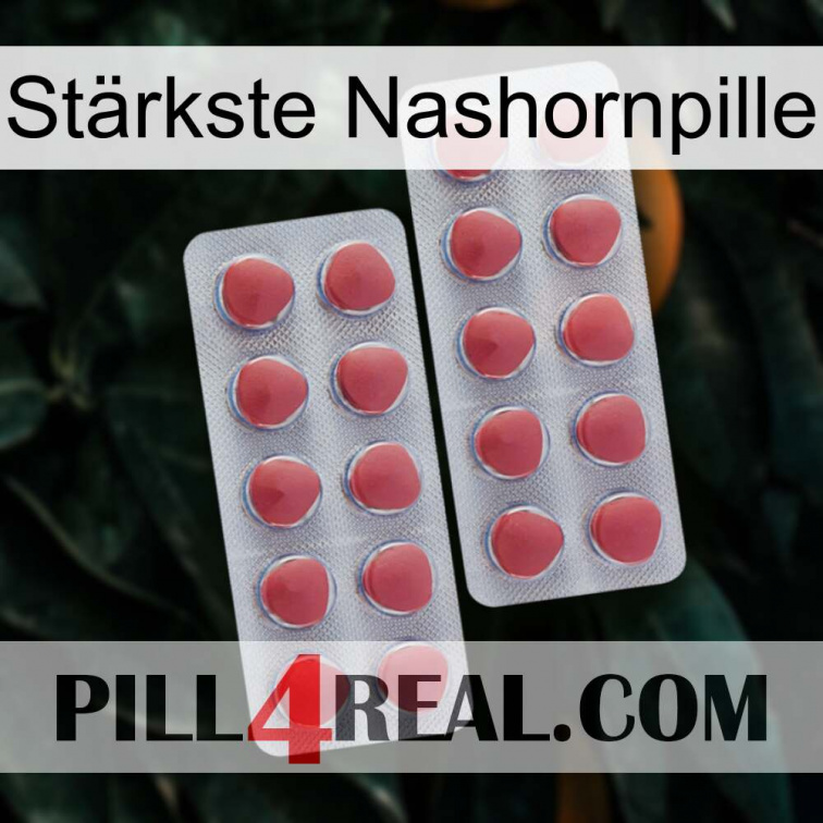 Stärkste Nashornpille 19